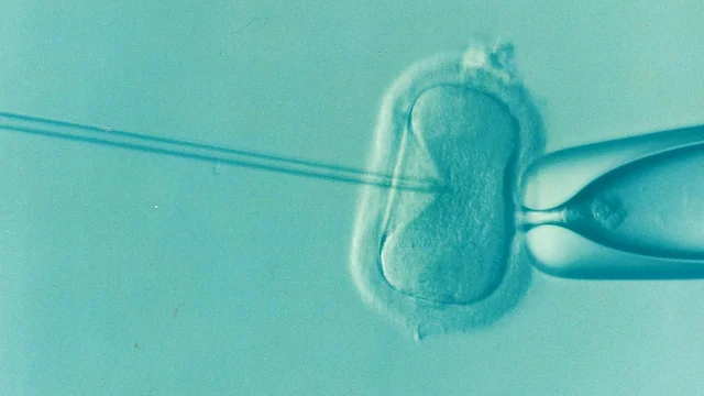 imagem do processo de fecundação através da fertilização in vitro